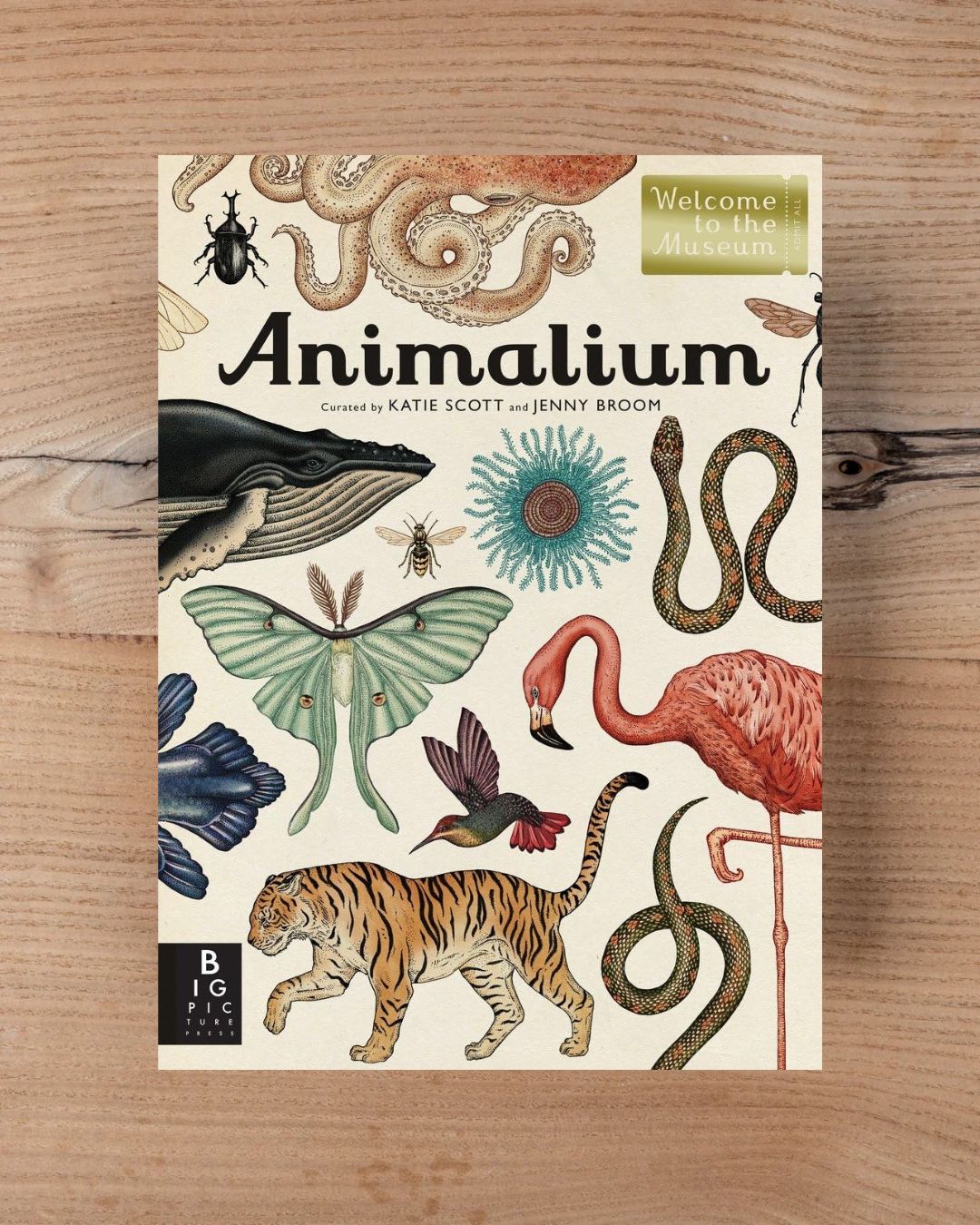 Animalium: Welcome to the Museum