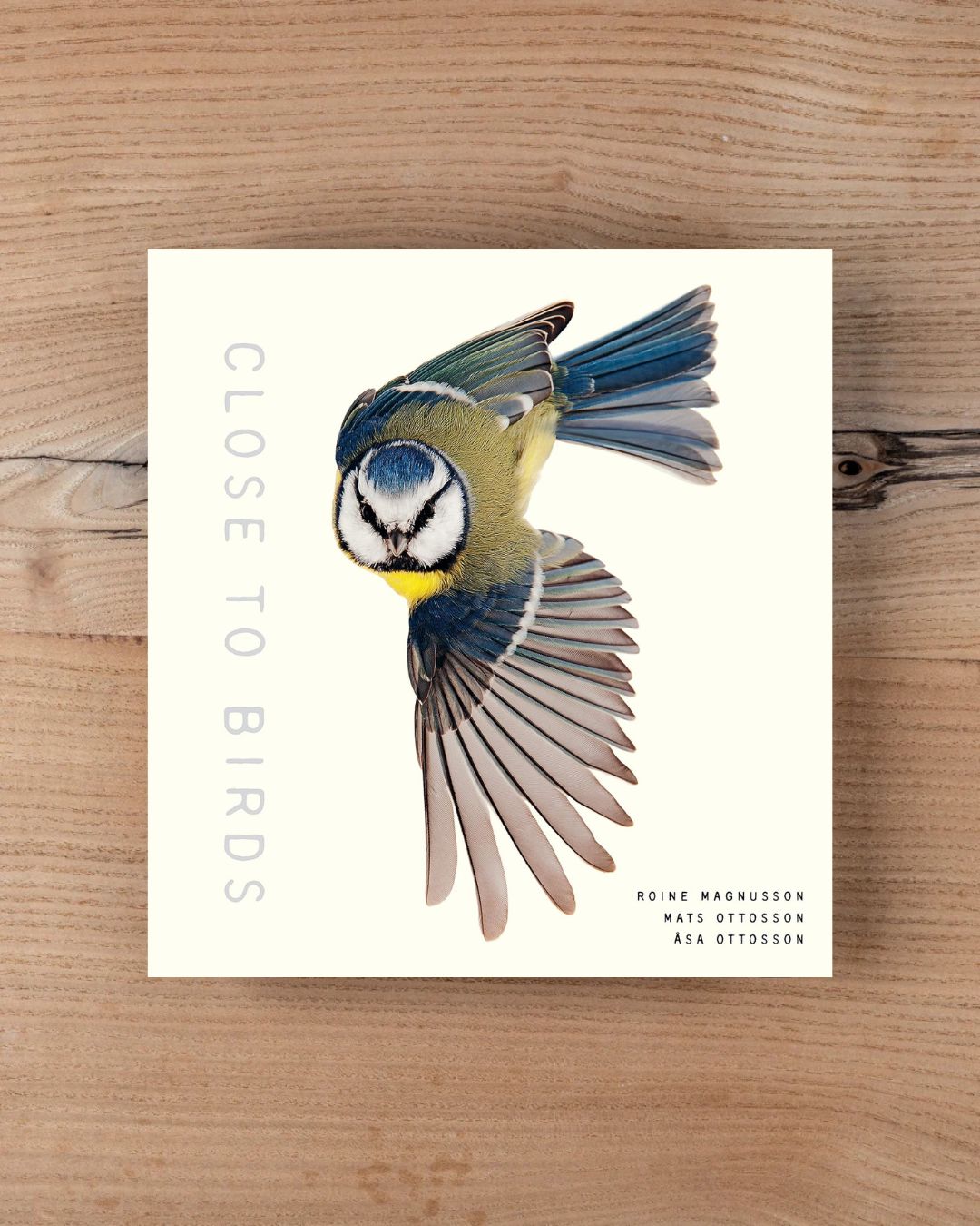 Close to Birds: An Intimate Look at Our Feathered Friends
