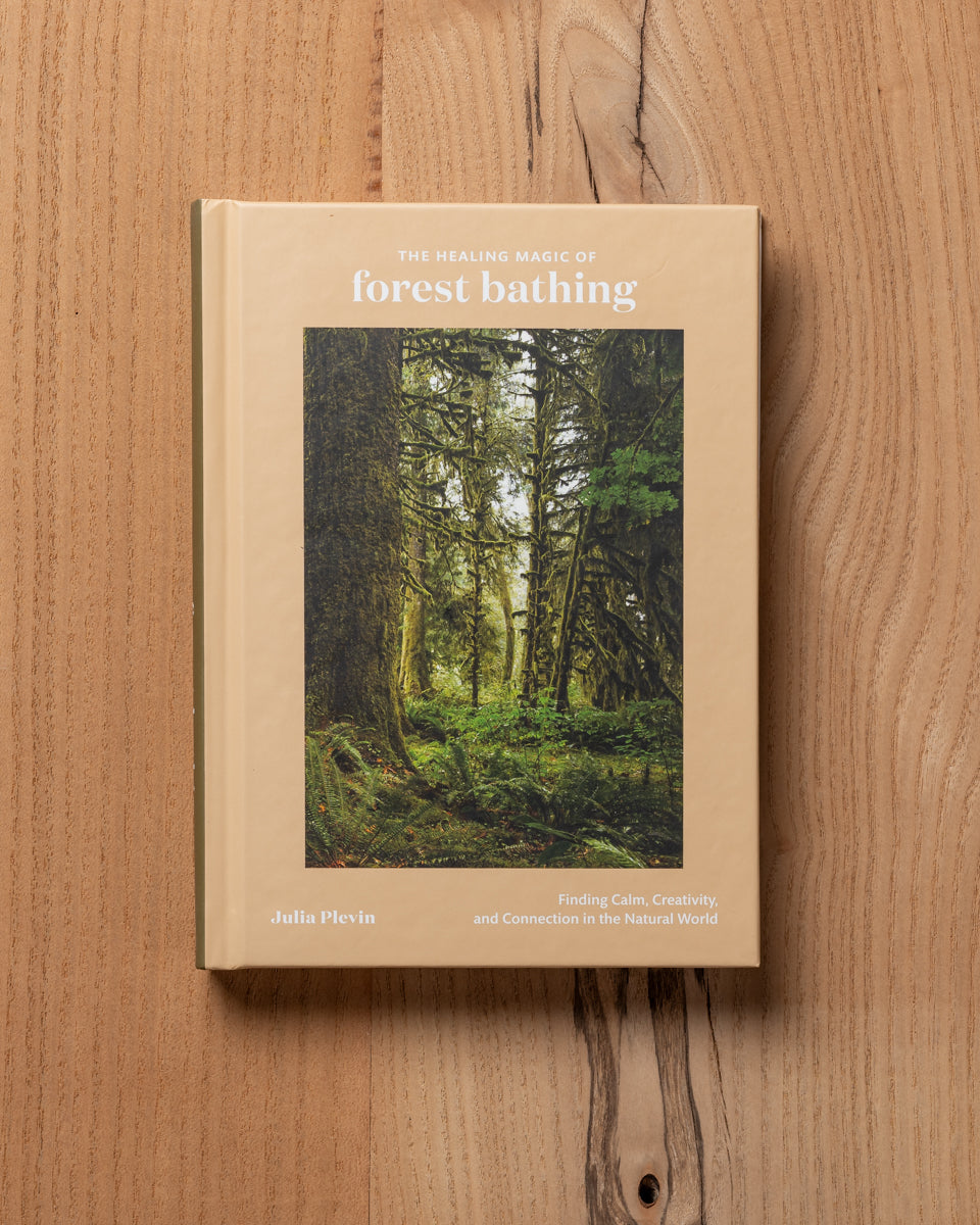 The Healing Magic of Forest Bathing: Finding Calm, Creativity, and Connection in the Natural World