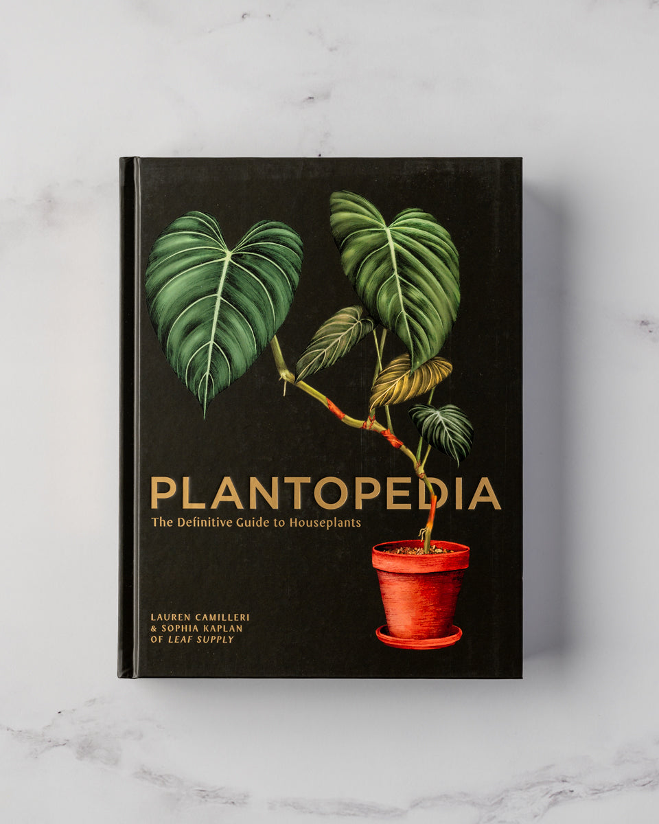 Plantopedia: The Definitive Guide to Houseplants