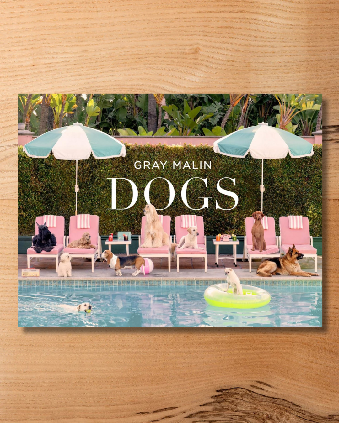 Gray Malin: Dogs
