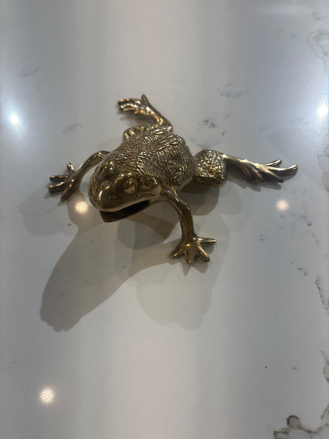 Found in the Cotswolds/Frog