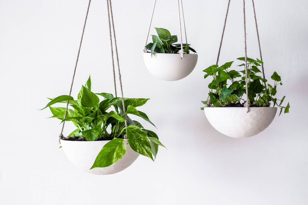 Hanging Planter - Small Handmade Ceramic Plant Hanger