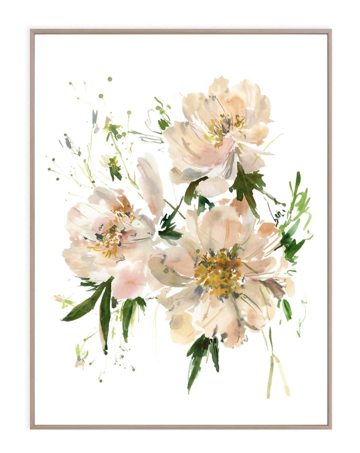 Stampa di peonie n. 2 sbiadite