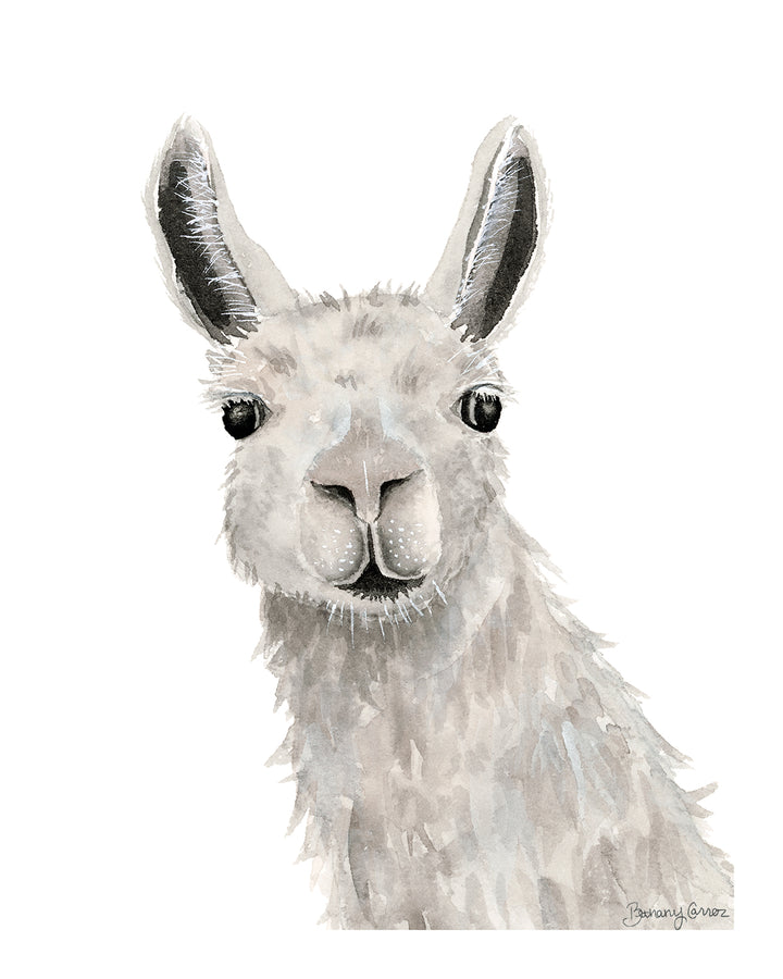 Llama Print