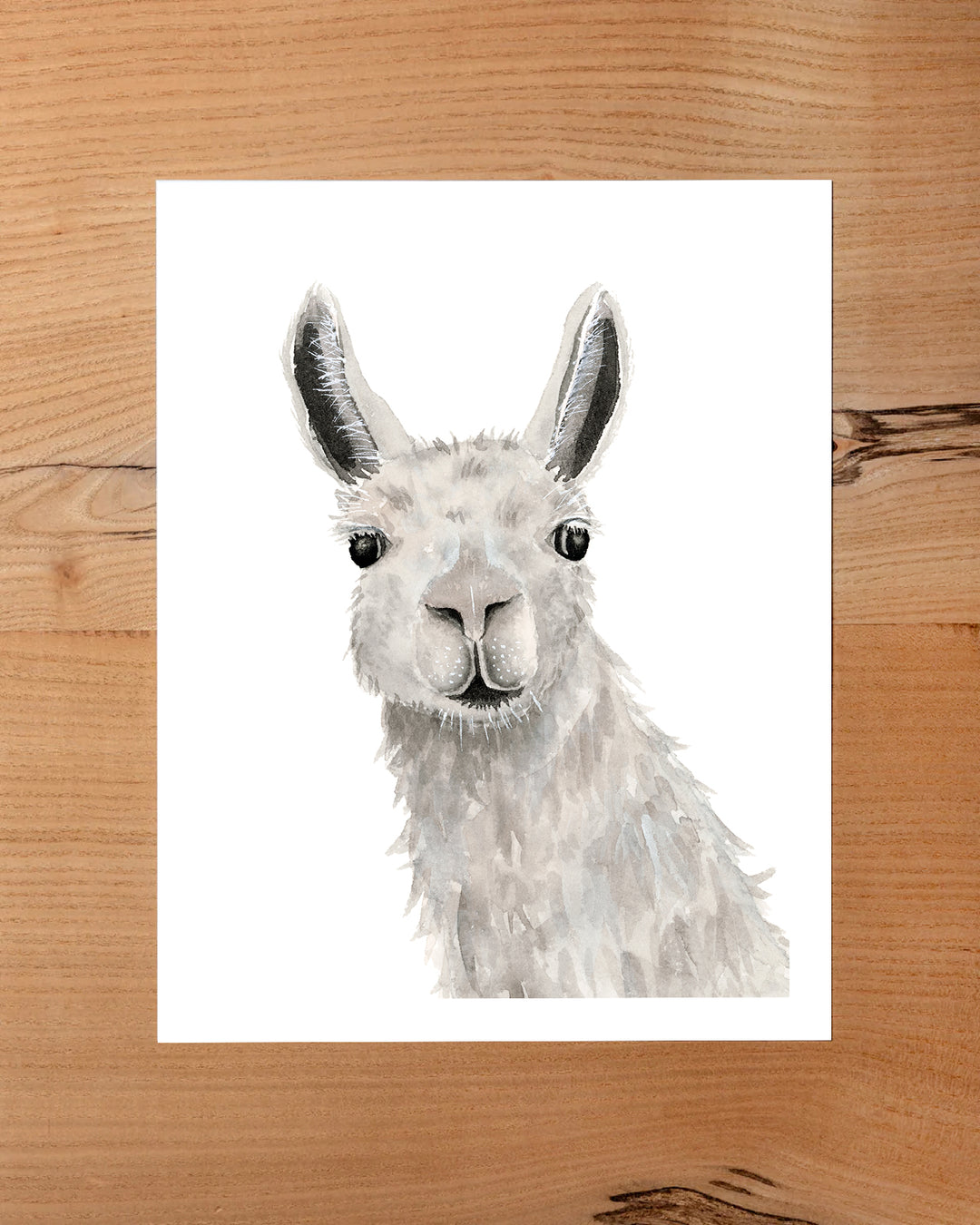 Llama Print