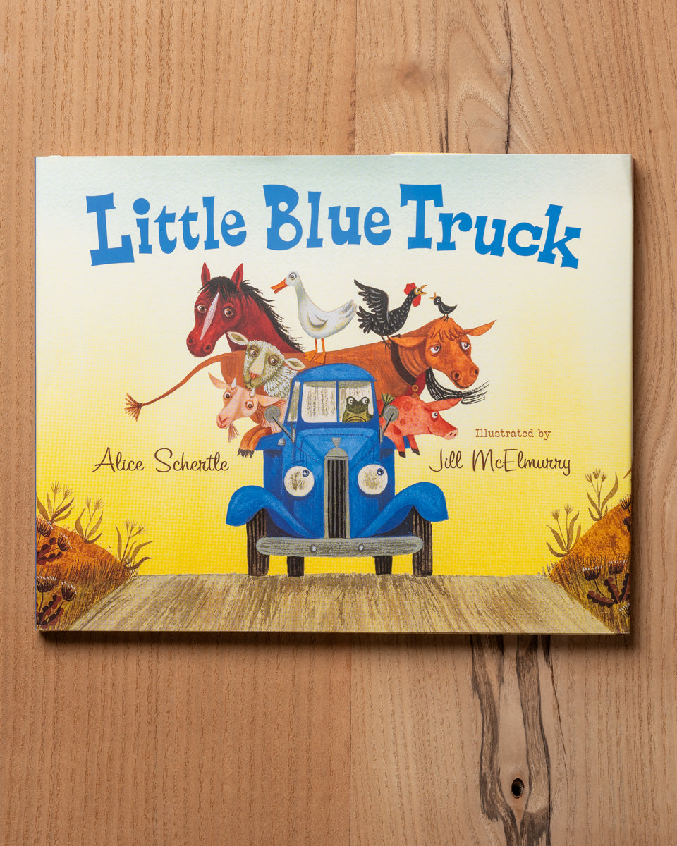 Il piccolo camion blu