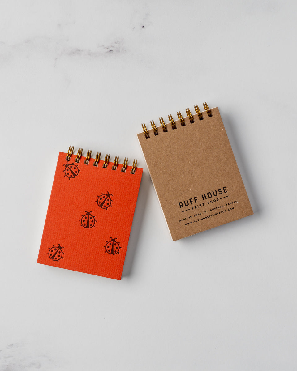 Ladybug Mini Jotter Notebook