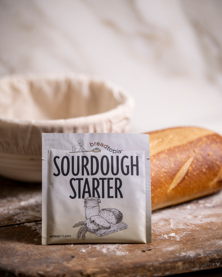Sourdough Starter
