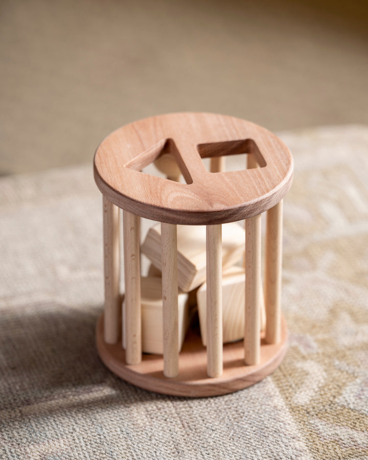 Roll me Shape Sorter