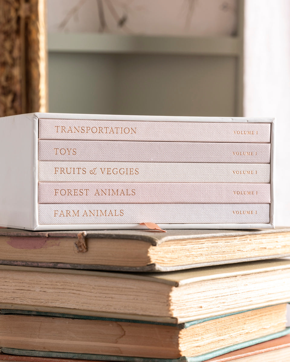 Our Little Library: A Foundational Language Vocabulary Board Book Set for Babies