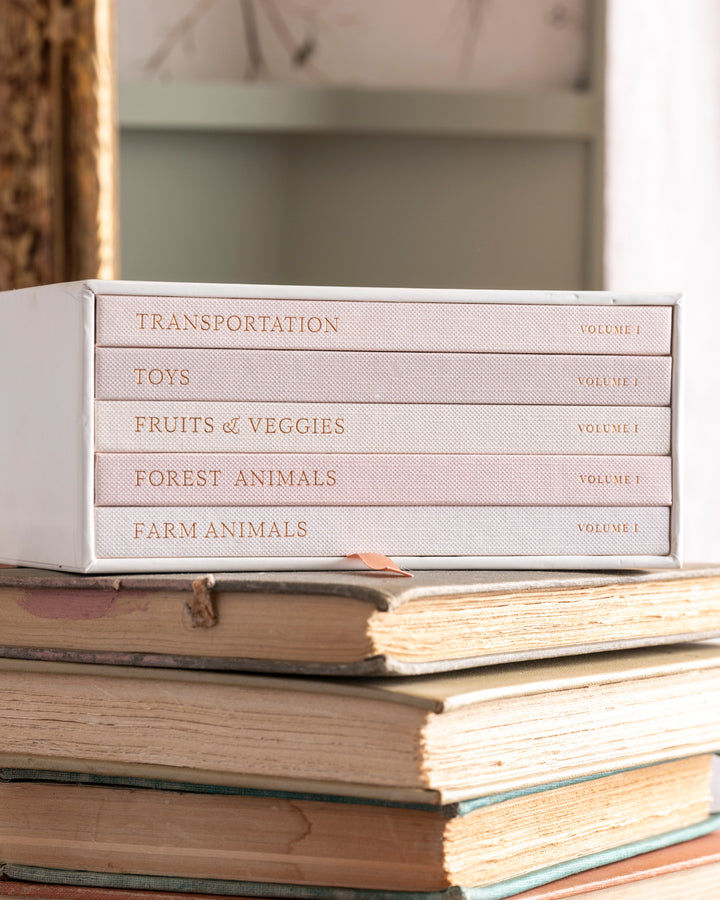 Our Little Library: A Foundational Language Vocabulary Board Book Set for Babies
