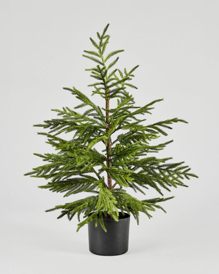 Artificial Norfolk Pine Tree - 36"