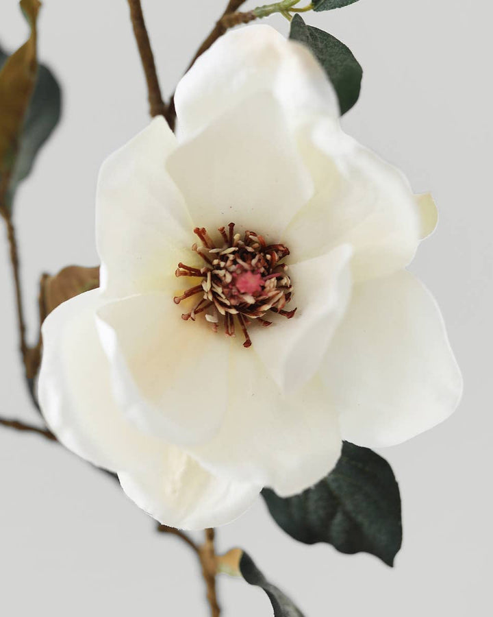 Cream Magnolia Fake Flower Branch - 35"