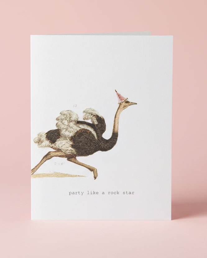 Party Like A Rock Star Greeting Card
