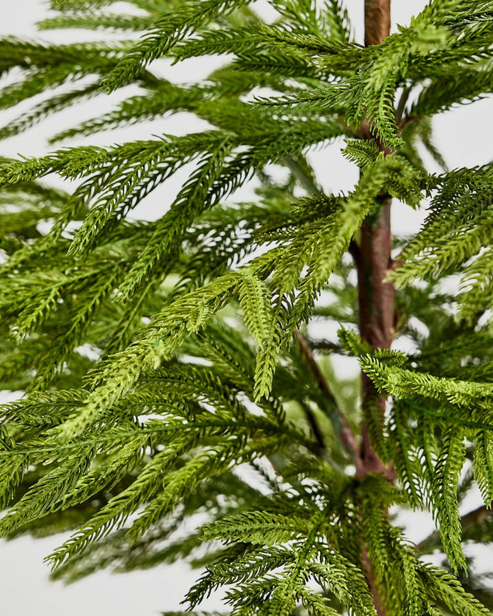 Artificial Norfolk Pine Tree - 36"