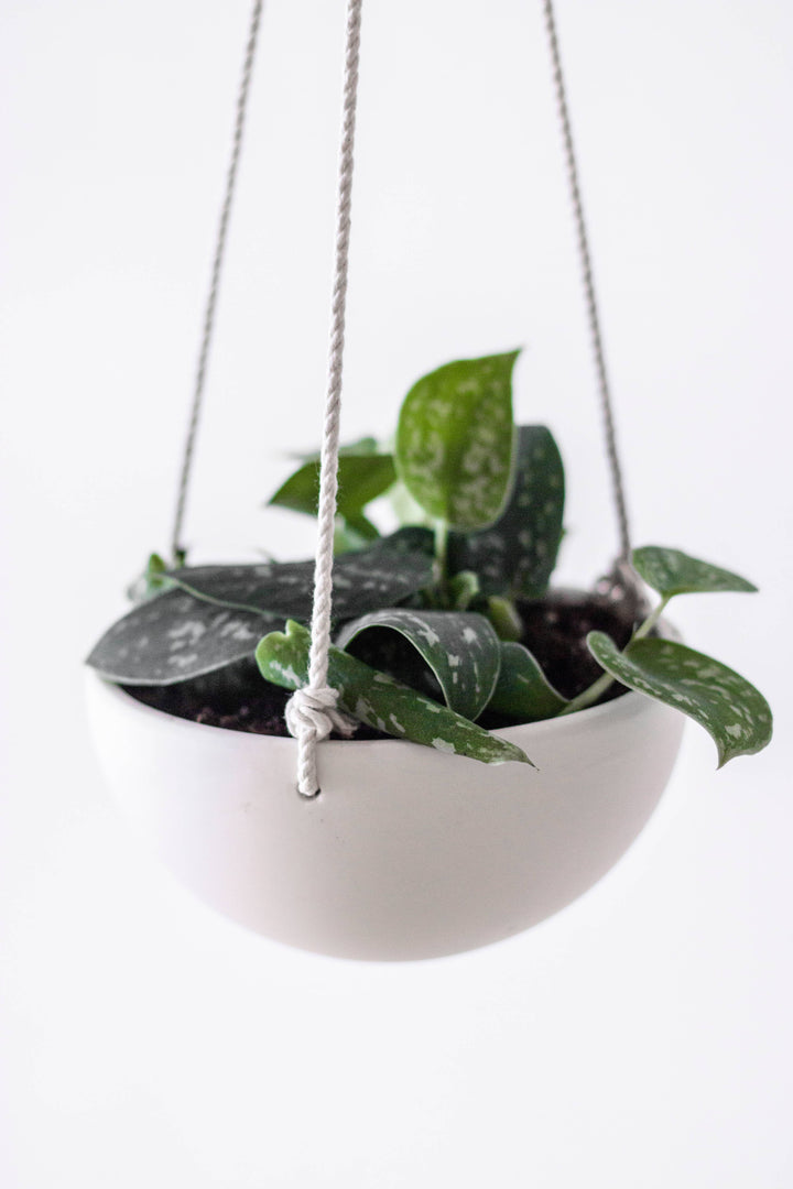 Hanging Planter - Small Handmade Ceramic Plant Hanger