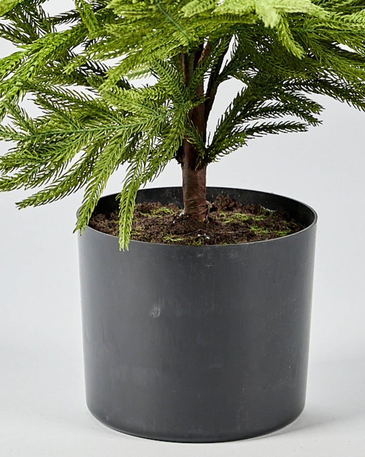 Artificial Norfolk Pine Tree - 36"