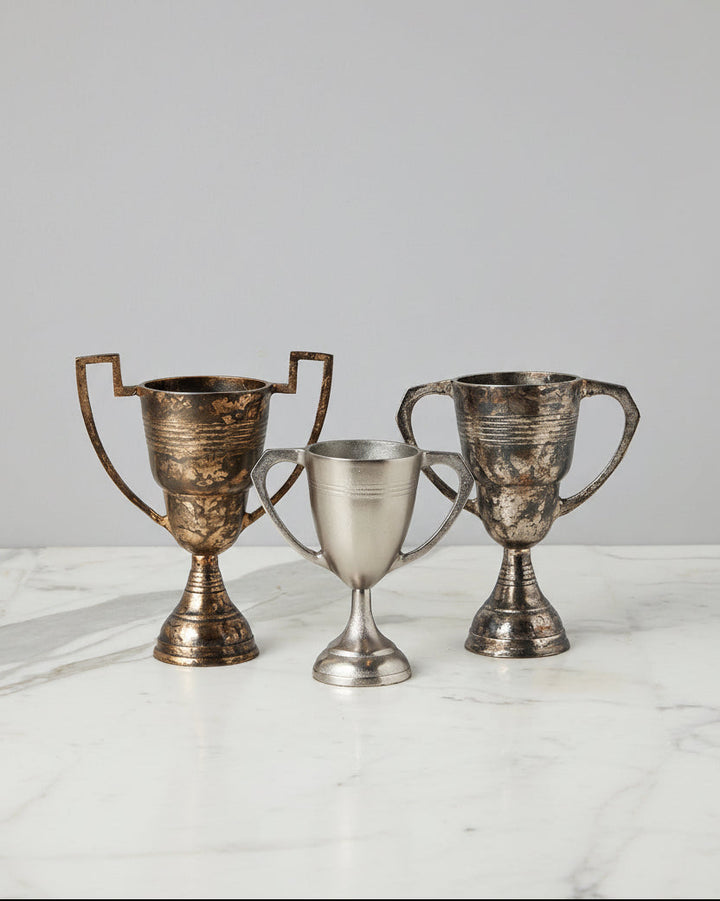 Medium Distressed Gold Trophy Cup