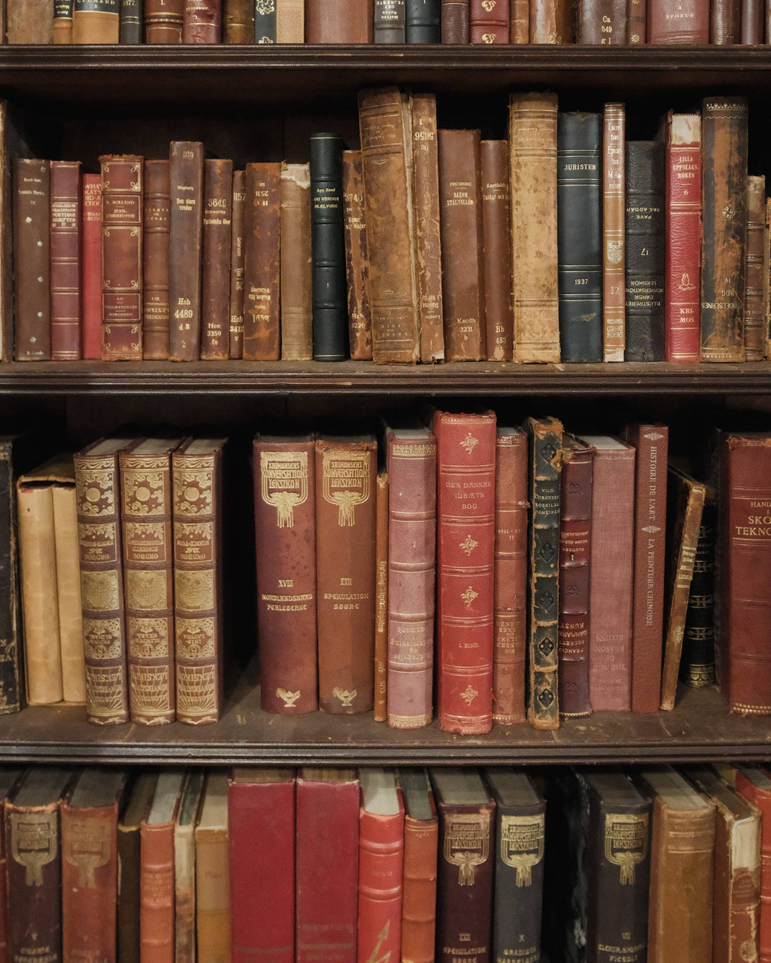 Vintage Leather-Bound Book