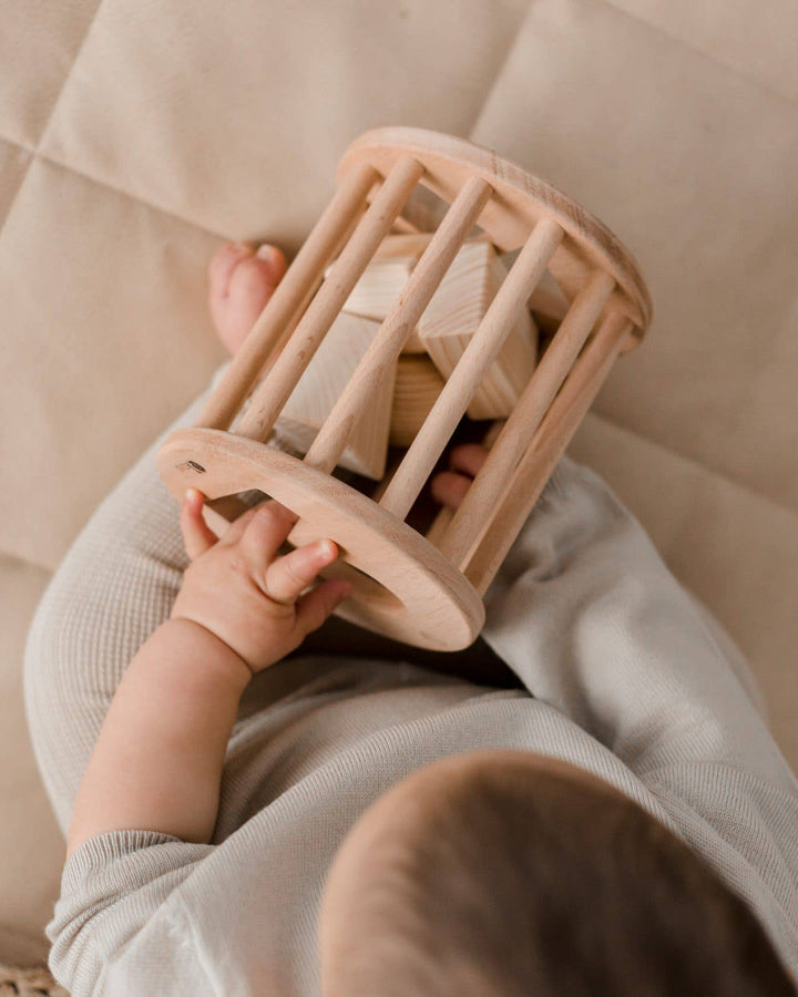 Roll me Shape Sorter