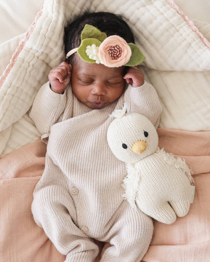 Baby Gosling