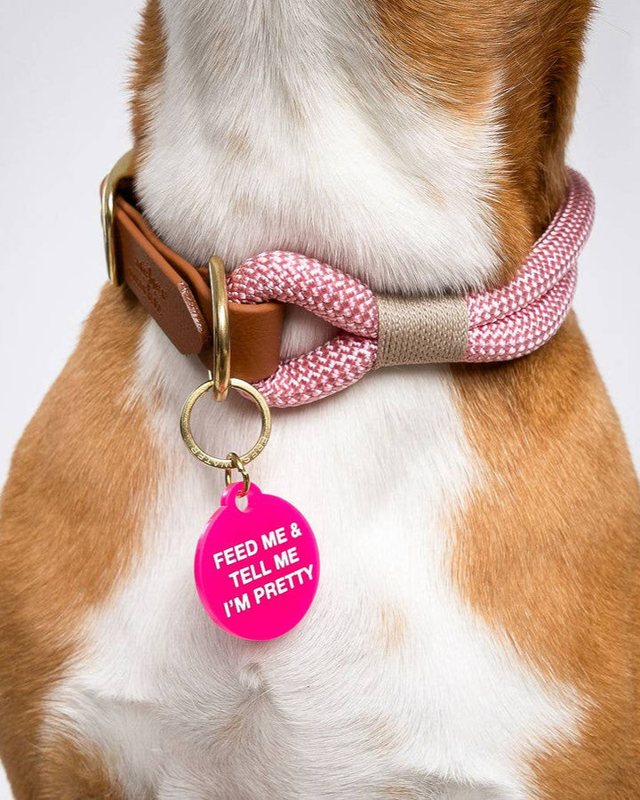 Feed Me & Tell Me I'm Pretty Pet Tag