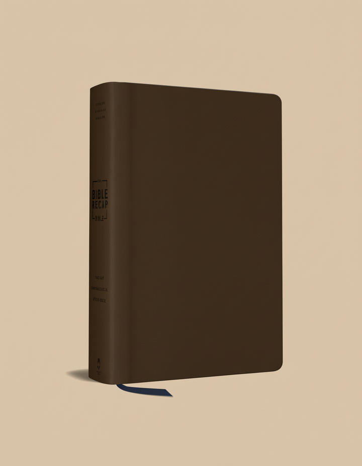 The Bible Recap 365-Day Chronological Study